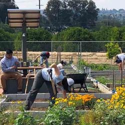 R'Garden community plot