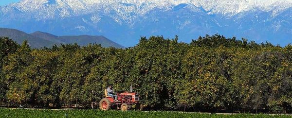 Agricultural Operations, tractor on field, (c) UCR / Stan Lim