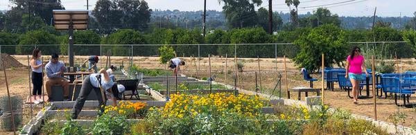 R'Garden community plot