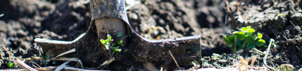 shovel in field (c) pexels 296230