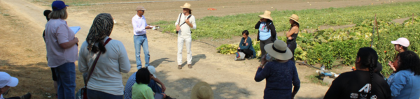 students by vegetable crops