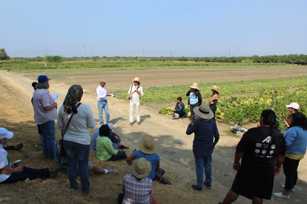 Students by rows of vegetables growing in a field